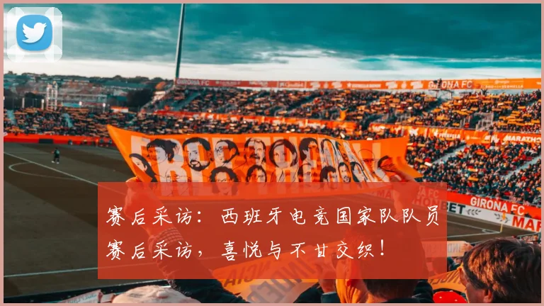 赛后采访：西班牙电竞国家队队员赛后采访，喜悦与不甘交织！