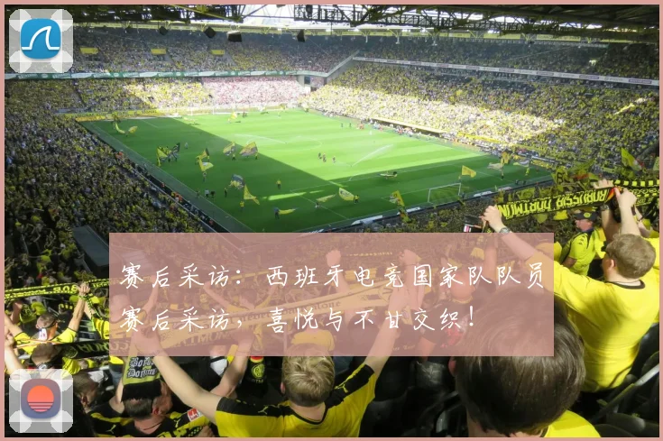 赛后采访:西班牙电竞国家队队员赛后采访,喜悦与不甘交织!